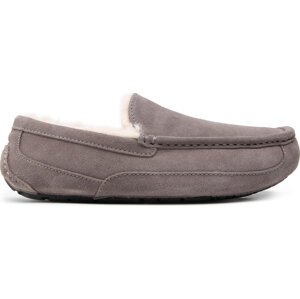 Bačkory Ugg M Ascot 1101110 Grey